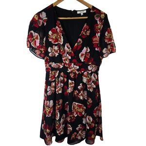 Madewell Floral Mini Dress Black Red Pink Short Sleeve V Neck Size 4